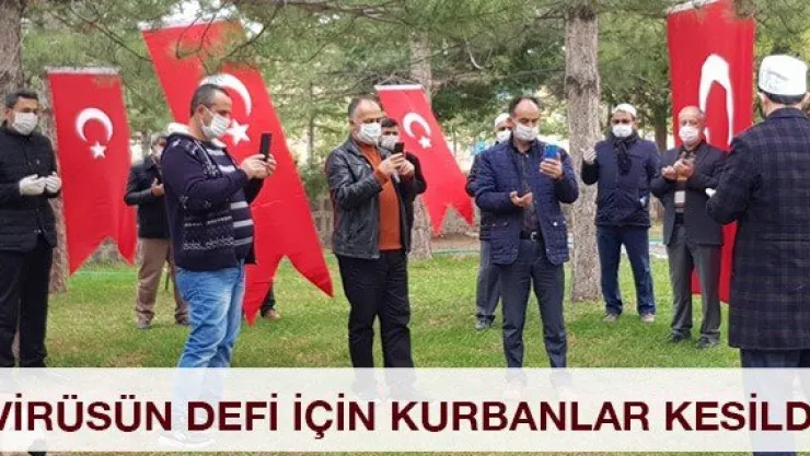 Virüsün defi için kurbanlar kesildi