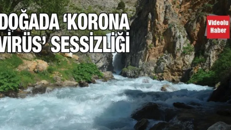 Doğada 'Korona virüs' sessizliği