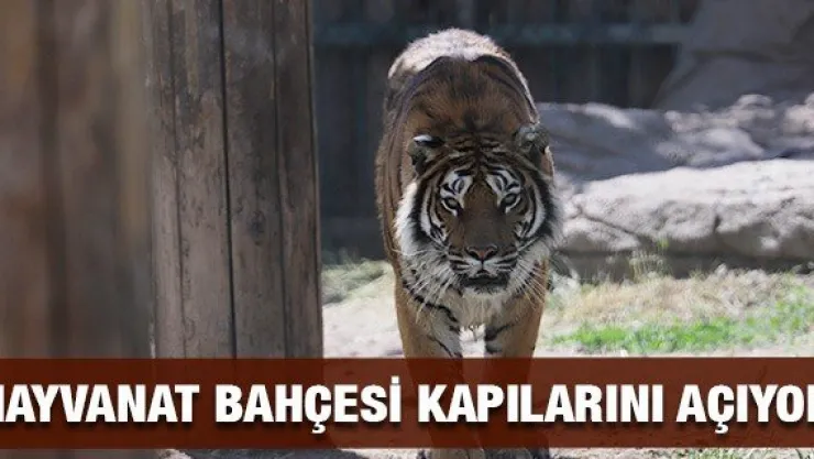 Hayvanat Bahçesi kapılarını açıyor