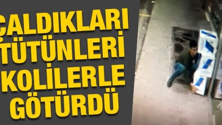 Çaldıkları tütünleri kolilerle götürdü