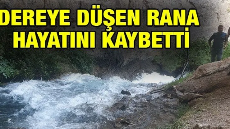 Dereye düşen Rana hayatını kaybetti