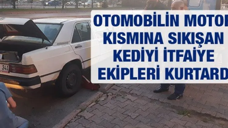 Otomobilin motor kısmına sıkışan kediyi itfaiye ekipleri kurtardı