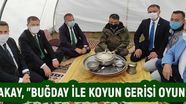 Akay, &quotBuğday ile koyun gerisi oyun"