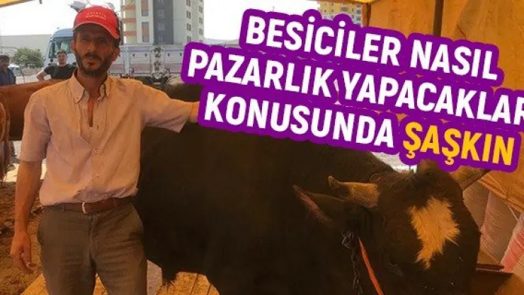 Besiciler nasıl pazarlık yapacakları konusunda şaşkın
