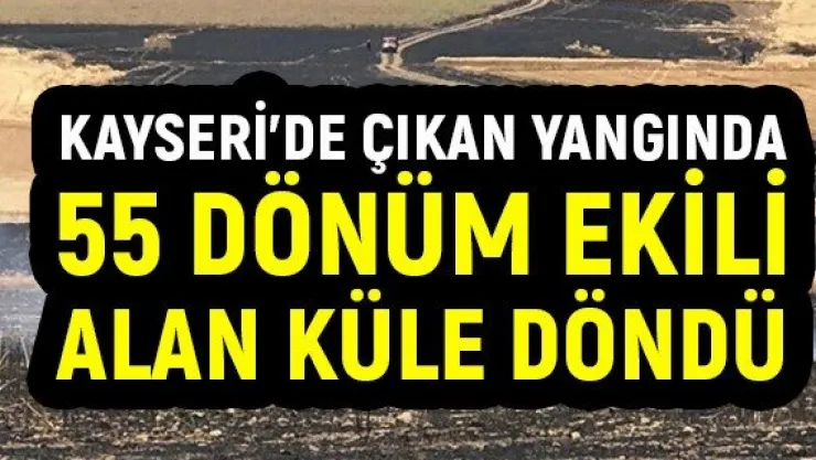 Kayseri'de çıkan yangında 55 dönüm ekili alan küle döndü