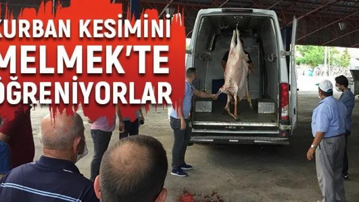 Kurban kesimini MELMEK'te öğreniyorlar