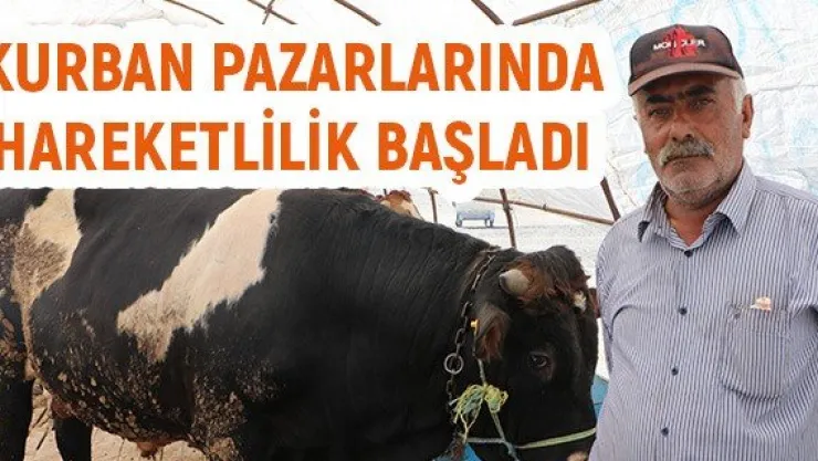 Kurban pazarlarında hareketlilik başladı
