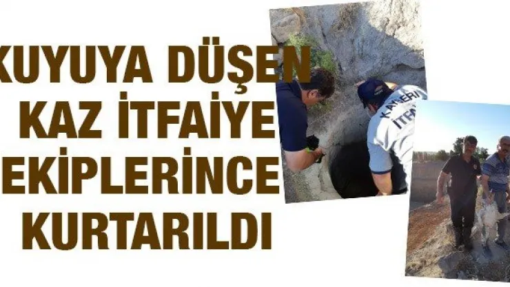 Kuyuya düşen kaz itfaiye ekiplerince kurtarıldı