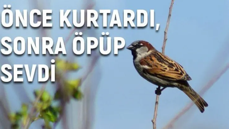Önce kurtardı, sonra öpüp sevdi