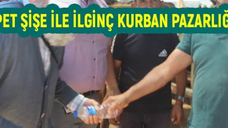 Pet şişe ile ilginç kurban pazarlığı