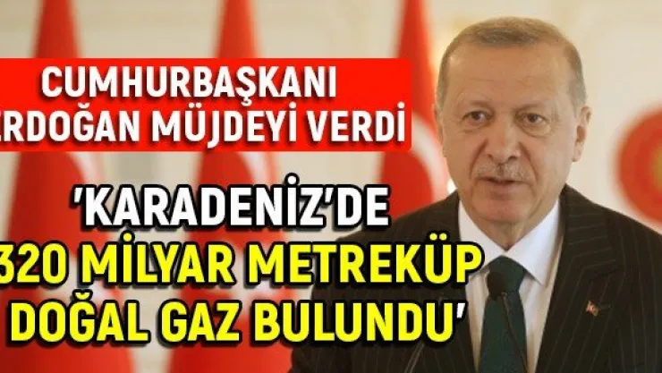 'Karadeniz'de 320 milyar metreküp doğal gaz bulundu'