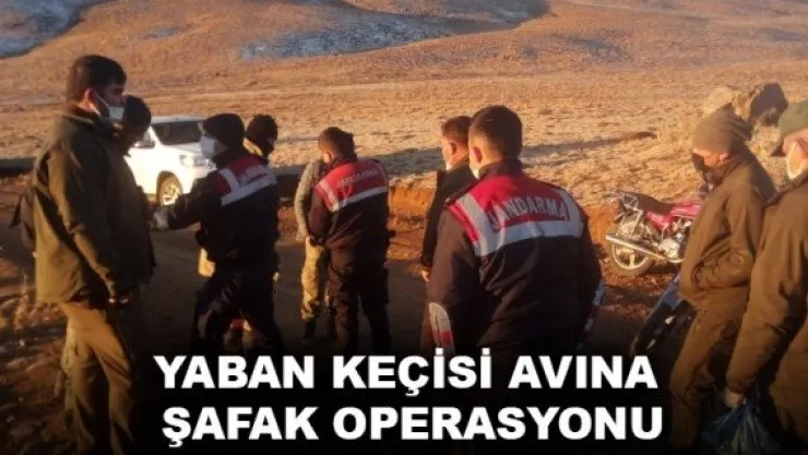 YABAN KEÇİSİ AVINA ŞAFAK OPERASYONU