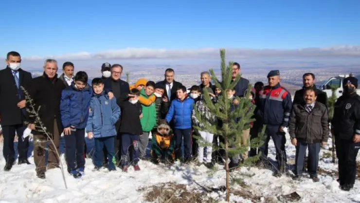 HACILAR ERCİYES KAPI VE SERÇEL YAYLASI'NDA SON BAHAR GÜZELLİĞİ