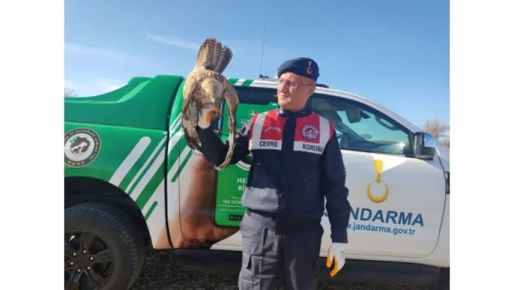 JANDARMA YARALI KUŞA YARDIM ELİ UZATTI