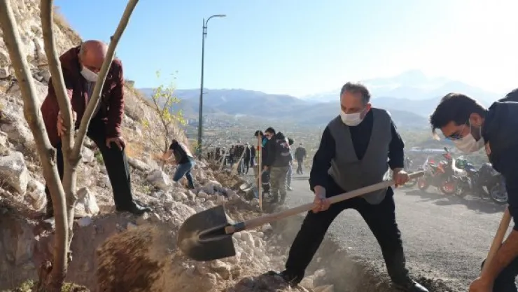 YAZ DEMEDEN KIŞ DEMEDEN AĞAÇ DİKELİM!