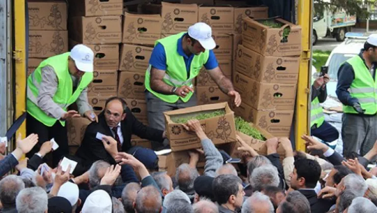 500 bin domates fidesi ve 1 ton gübre dağıtıldı