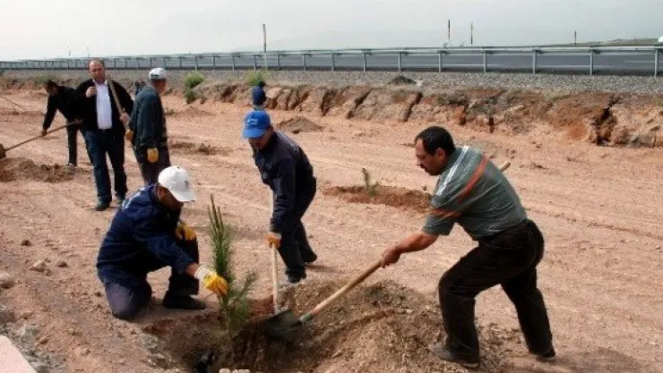5 Haziran Dünya Çevre Gününde Ağaçlandırma Çalışmaları Devam Ediyor 
