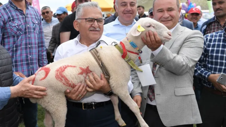 Akkışla'da Süt Üretme Tesisi yapılacak