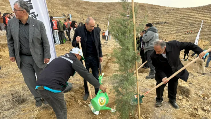 Ali Dağının Zirvesine 1111 Fidan