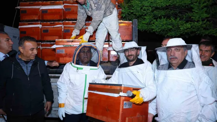 2 bin arılı kovanı şafak vakti üreticilere dağıttı