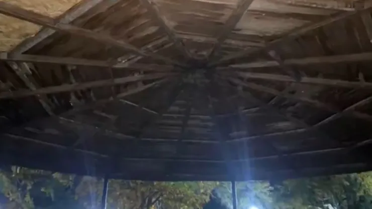 Belsin'de kamelyayı ateşe veren çocuklar yakalandı