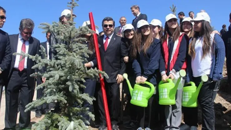 Bereket ormanına 2 bin fidan dikildi