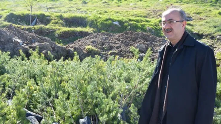 Bünyan Belediyesi 16 bin 400 ücretsiz fidan dağıttı