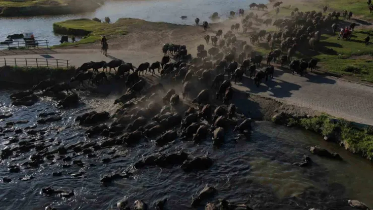 Burası Afrika değil Kayseri