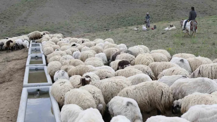 Büyükşehir'den Pınarbaşı'ya mahalle mahalle tarımsal hizmet
