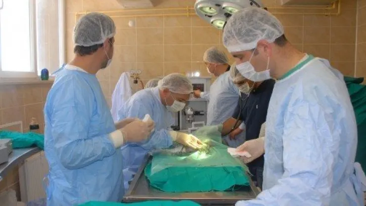 Büyükşehir Yabani Hayvanlar İçin Tedavi Merkezi Kuruyor