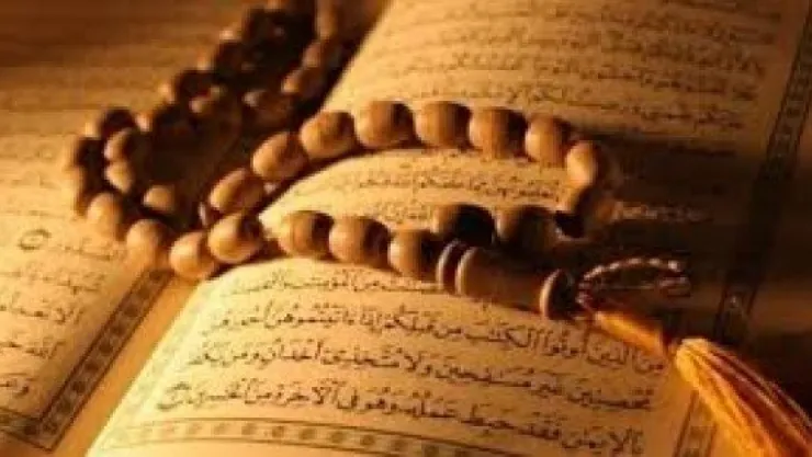 CİDDE'DEN MEKTUPLAR BEN DE İBRAHİMİN BİR KUŞU MUYUM