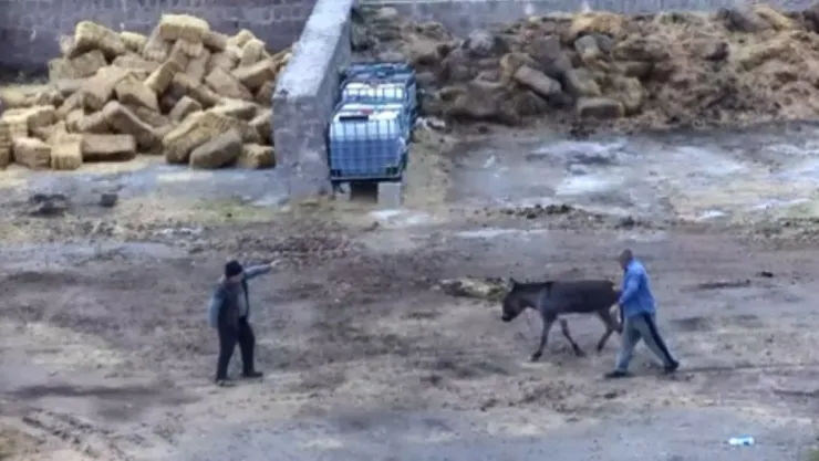 Eski ortağının çiftliğini basıp eşek ve atlarına dehşet saçtı