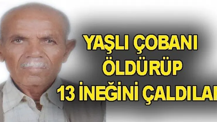 Çobanı Öldürüp Hayvanları Çaldılar