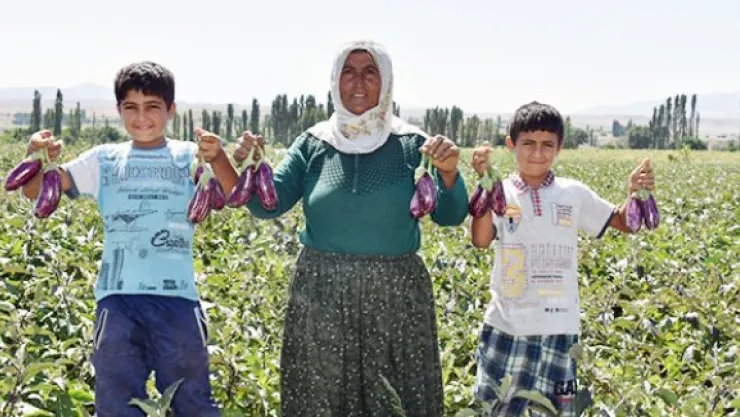 Çolakbayrakdar, &quotYamula Patlıcanı'nı Tanıtacağız"