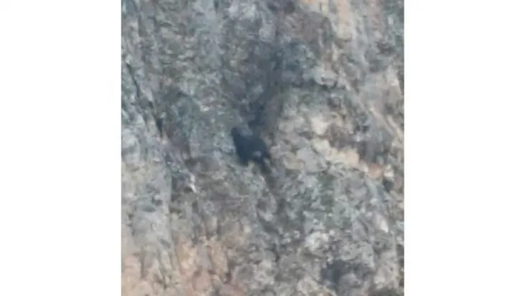 DAĞDA MAHSUR KALAN KEÇİ BİR HAFTADIR KURTARILMAYI BEKLİYOR