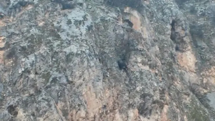 Dağda mahsur kalan keçi bir haftadır kurtarılmayı bekliyor
