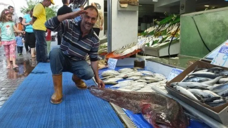  DEV YAYINLAR GÖRENLERİ HAYRETE DÜŞÜRDÜ