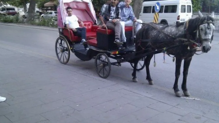 Develi'de Fayton Turlarına Büyük İlgi