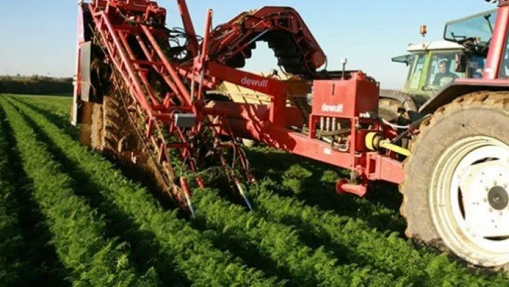 DÜNYANIN İKİ TEMEL GEÇİM KAYNAĞI ZİRAAT VE HAYVANCILIKTIR