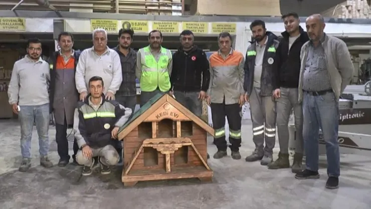 Eski kamelyalardan kedi evi yapıyorlar