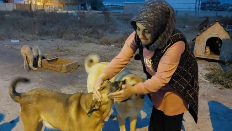 Evini sokak hayvanlarına açtı