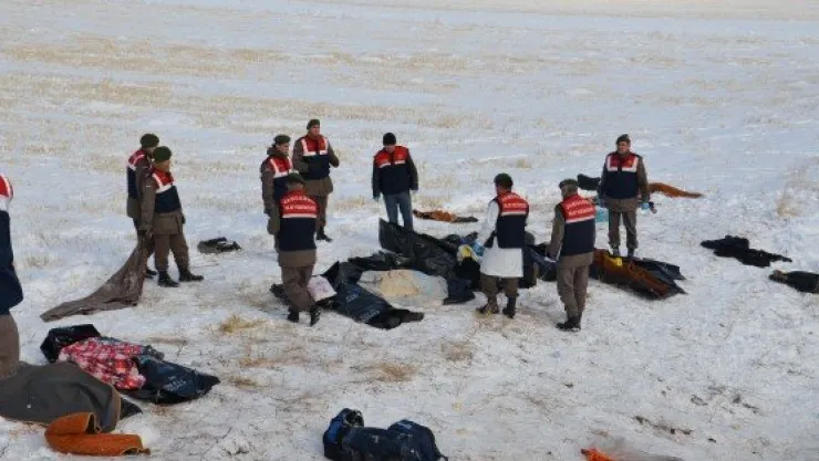  Feci Kazada ölü ve yaralı sayısı artıyor 21 Ölü 29 yaralı