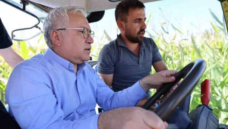 Hasadı başladı, 200 bin ton rekolte bekleniyor