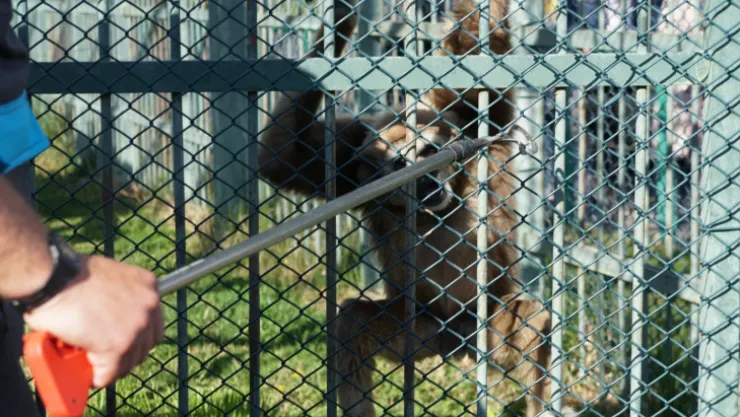 Hayvanat bahçesinde çifte bayram yoğunluğu
