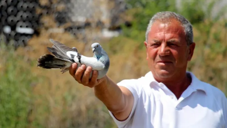 Hobi sektöre dönüştü, birçok aile bundan geçimini sağlıyor