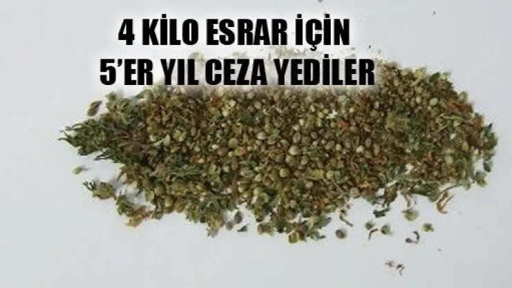 İçmek İçin Dediler Ama...