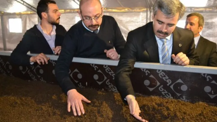 İki genç girişimciden solucan gübresi yatırımı