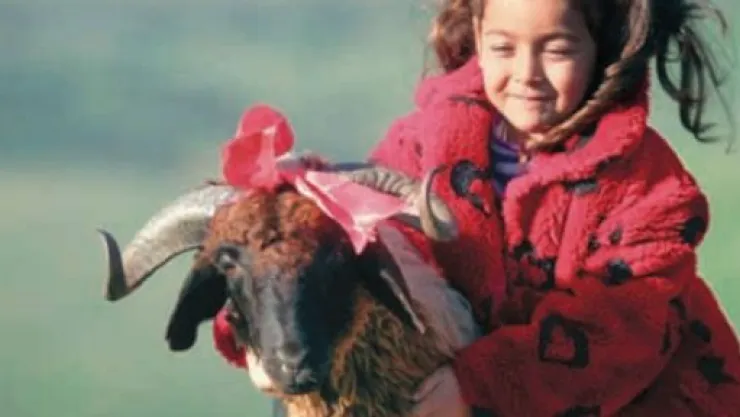  İSLAM'DA KURBAN BAYRAMI VE KURBAN - Mehmet Zeki DUMAN