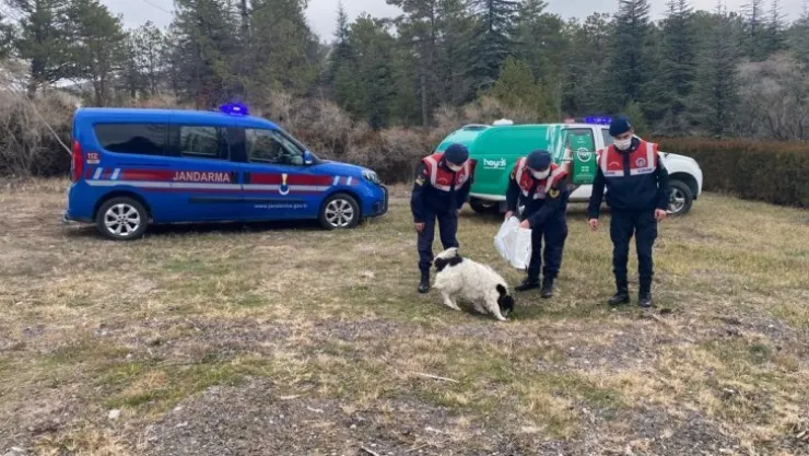 Jandarma ekiplerinden örnek davranış