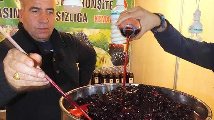 Karadutçu Kemal Baba